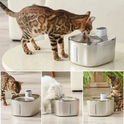 The Kitty Stream™ Wireless Fountain