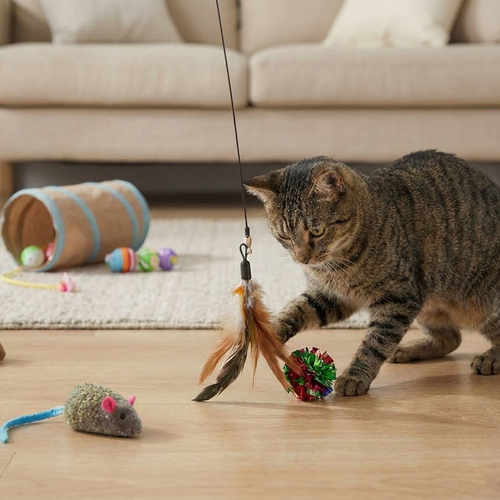 Cat Toys - 2 Pack