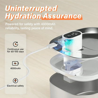 The KittyStream™ - Wired