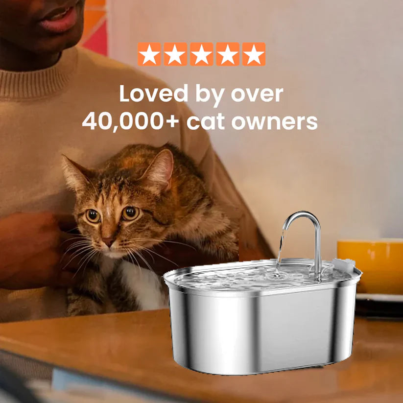 The KittyStream™ - Wired