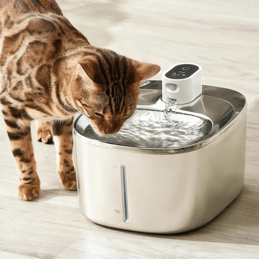 The Kitty Stream™ Wireless Fountain